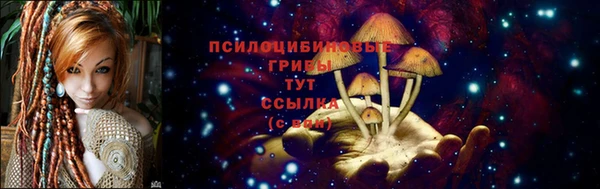 2c-b Волосово